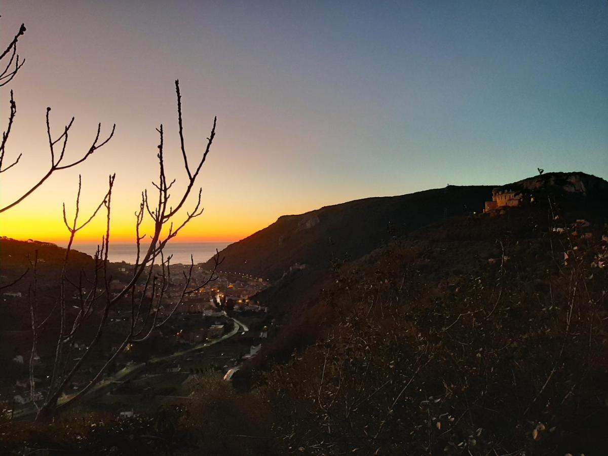 Agriturismo Alveare فينالي ليغوري المظهر الخارجي الصورة