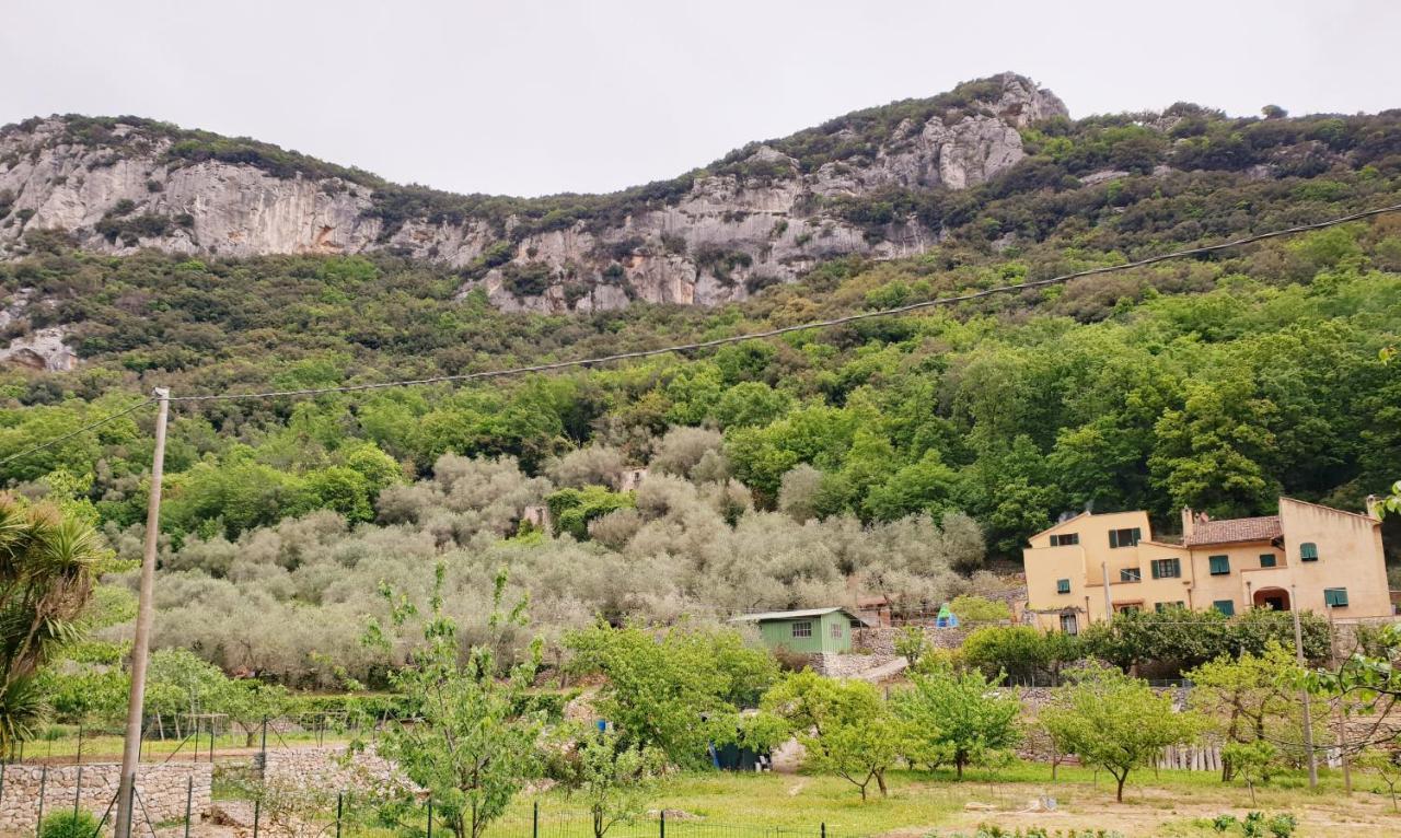Agriturismo Alveare فينالي ليغوري المظهر الخارجي الصورة