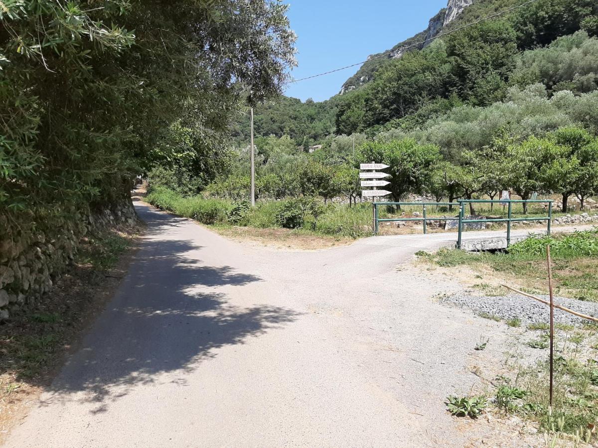 Agriturismo Alveare فينالي ليغوري المظهر الخارجي الصورة
