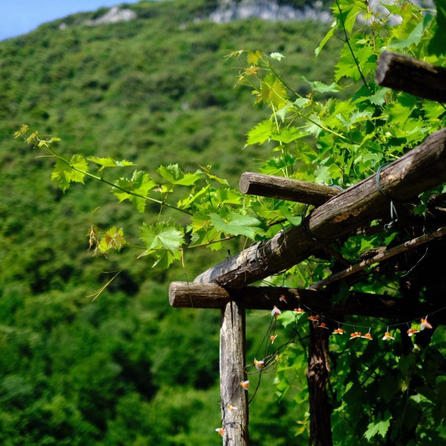 Agriturismo Alveare فينالي ليغوري المظهر الخارجي الصورة