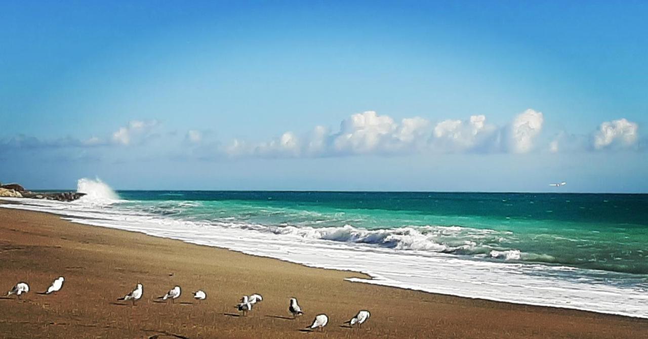 Agriturismo Alveare فينالي ليغوري المظهر الخارجي الصورة
