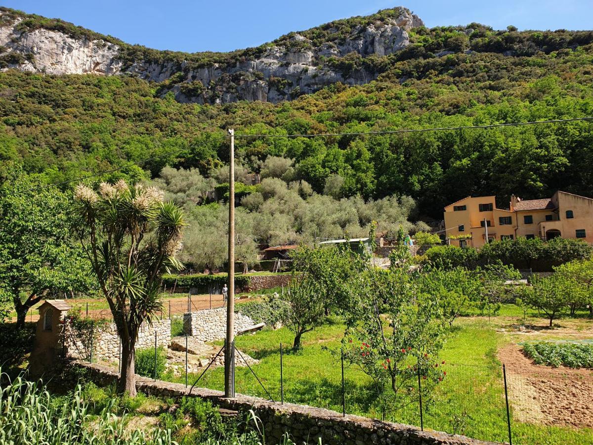 Agriturismo Alveare فينالي ليغوري المظهر الخارجي الصورة