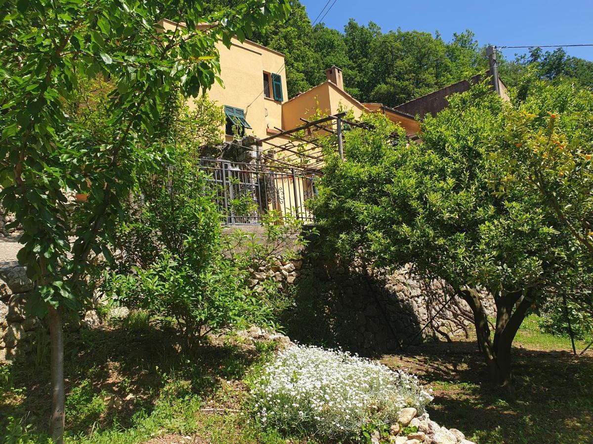 Agriturismo Alveare فينالي ليغوري المظهر الخارجي الصورة